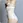 backless shapewear